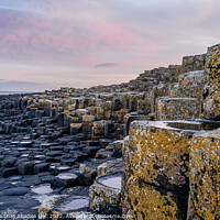 Buy canvas prints of Overlooking the Giant's Causeway by Storyography Photography