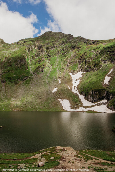 Lake on the Transfagarasan road Picture Board by Veronika Druzhnieva