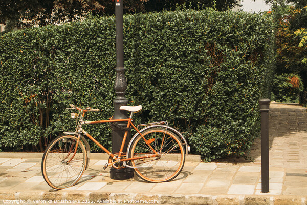 Old bicycle on the street  Picture Board by Veronika Druzhnieva