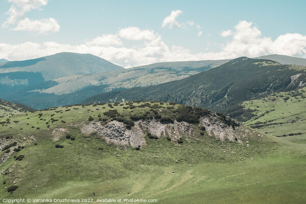 View on the Mountains of Transalpina Romania Picture Board by Veronika Druzhnieva
