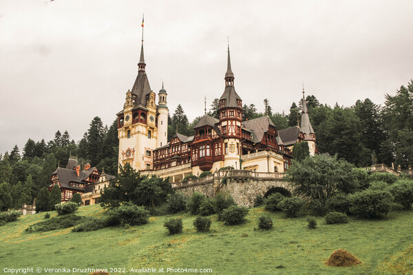 Peleș Castle, Romania Picture Board by Veronika Druzhnieva