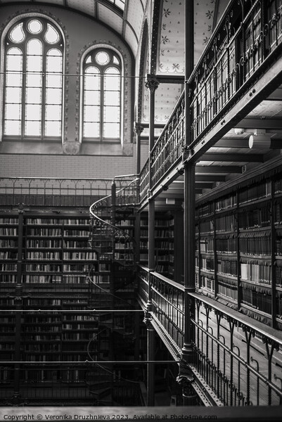 Old library in black and white Picture Board by Veronika Druzhnieva