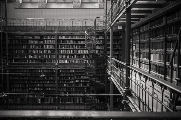 Library black and white Picture Board by Veronika Druzhnieva