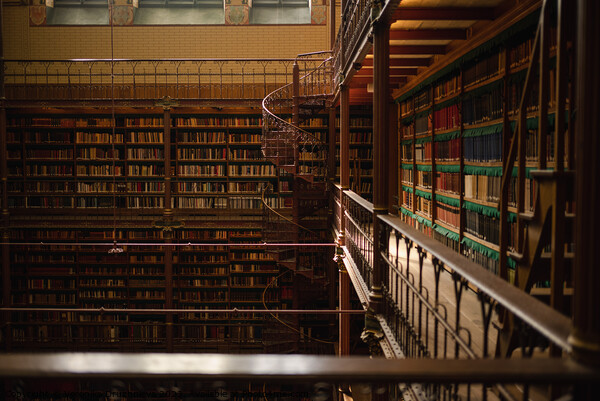 Library with old books Amsterdam Picture Board by Veronika Druzhnieva