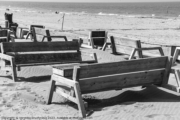 Wodden benches on the beach on Den Haag Picture Board by Veronika Druzhnieva
