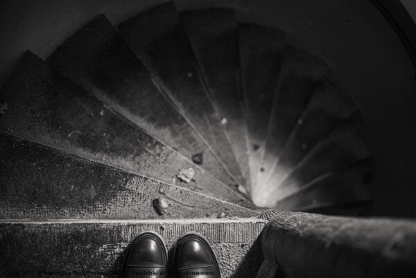 Black and wight old stairs in De Reffer Picture Board by Veronika Druzhnieva