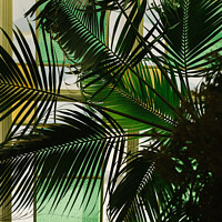 Buy canvas prints of Palm inside the old building by Veronika Druzhnieva