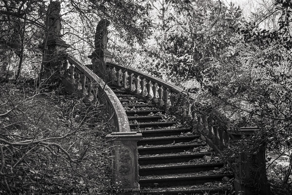 Old stairs in the garden. Netherlands. Picture Board by Veronika Druzhnieva