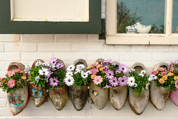 Clogs with flowers under the window Picture Board by Veronika Druzhnieva