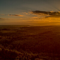 Buy canvas prints of Sunset over Plym Bridge Woods Plymouth by Mark Radford