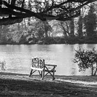 Buy canvas prints of A Seat by the river by Mark Weekes