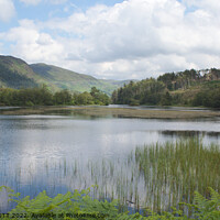 Buy canvas prints of Loch Trool Scotland by STEVEN CALCUTT