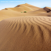 Buy canvas prints of Erg Chebbi, sand desert of Merzouga, southeast of Morocco. by Christian Decout