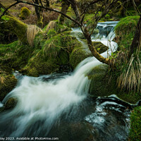 Buy canvas prints of The Enchanting Red Brook Waterfalls by Stuart Day