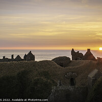 Buy canvas prints of Majestic Sunrise at Dunnottar Castle by DAVID FRANCIS