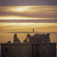 Buy canvas prints of Majestic Sunrise over Dunnottar Castle by DAVID FRANCIS