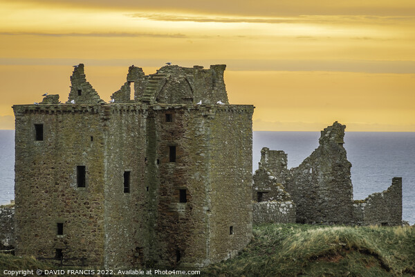 Dramatic Sunrise at Ancient Dunnottar Castle Picture Board by DAVID FRANCIS