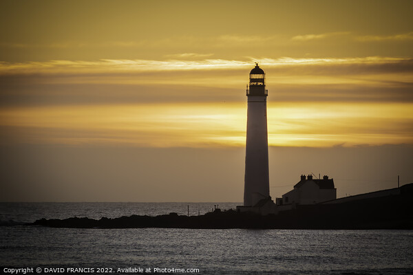 Serene Sunrise at Scurdie Ness Lighthouse Picture Board by DAVID FRANCIS