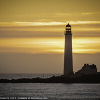 Buy canvas prints of Serene Sunrise at Scurdie Ness Lighthouse by DAVID FRANCIS