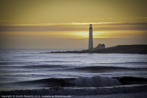 Majestic Sunrise at Scurdie Ness Lighthouse Picture Board by DAVID FRANCIS