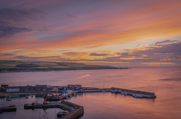 Majestic Sunrise in Stonehaven Picture Board by DAVID FRANCIS