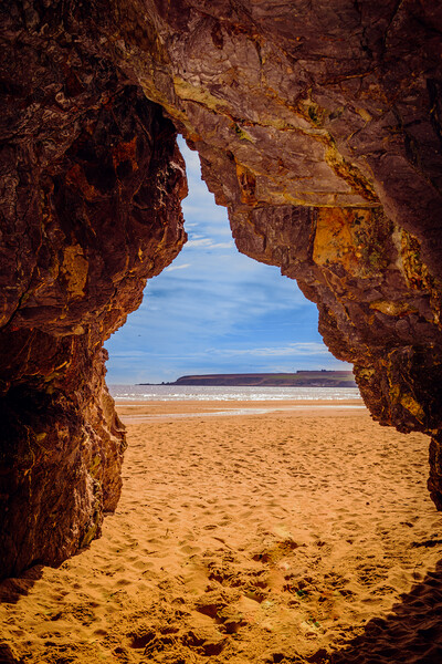 Golden Sands of Lunan Bay Picture Board by DAVID FRANCIS