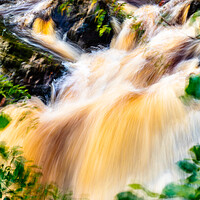 Buy canvas prints of Thunderous Beauty Falls of Feugh by DAVID FRANCIS