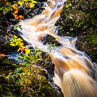 Buy canvas prints of Thunderous Beauty of Scottish Falls by DAVID FRANCIS