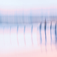 Buy canvas prints of Tranquil Sea Defences by DAVID FRANCIS