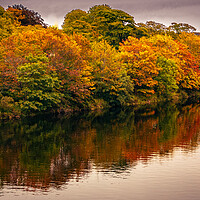 Buy canvas prints of Majestic Autumn Landscape by DAVID FRANCIS