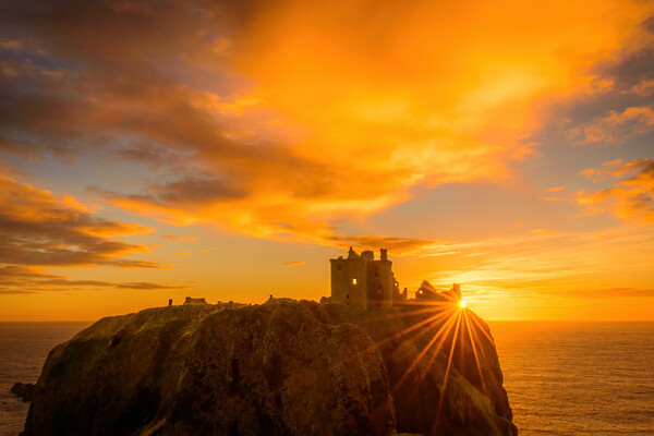 Golden Sunrise Over Dunnottar Castle Picture Board by DAVID FRANCIS
