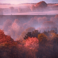 Buy canvas prints of Enchanting Autumn Mist by DAVID FRANCIS