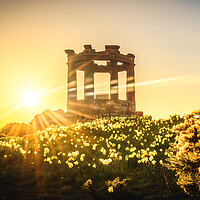 Buy canvas prints of Golden Sunrise Over Stonehaven War Memorial by DAVID FRANCIS