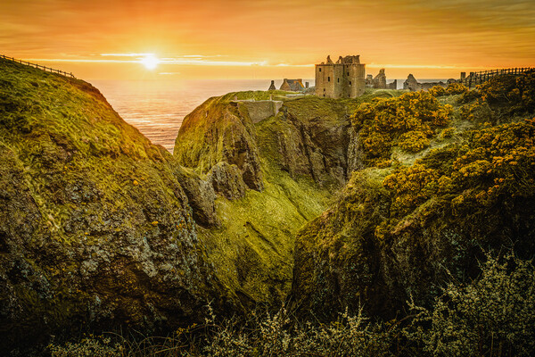 Sunrise at Dunnottar Castle in Stonehaven Scotland Picture Board by DAVID FRANCIS