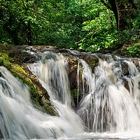 Buy canvas prints of Spectacular Arbirlot Waterfall After the Rain by DAVID FRANCIS