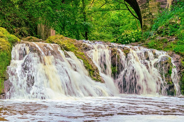 Splendid Arbirlot Waterfall After the Rain Picture Board by DAVID FRANCIS