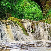 Buy canvas prints of Spectacular Arbirlot Waterfall After the Rain Pano by DAVID FRANCIS