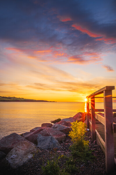  Colourful Sunrise over Stonehaven Bay in Scotland Picture Board by DAVID FRANCIS