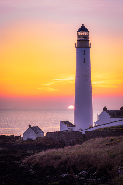 Golden Sunrise at Scurdie Ness Lighthouse  Picture Board by DAVID FRANCIS