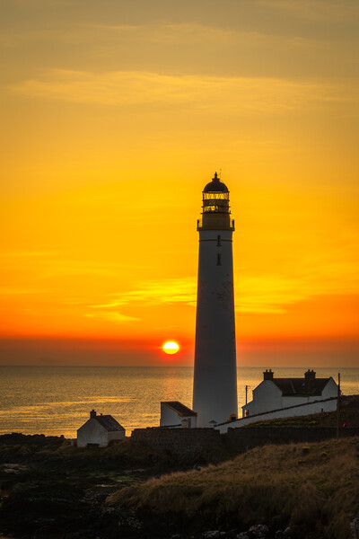 Golden Sunrise at Scurdie Ness Lighthouse Picture Board by DAVID FRANCIS