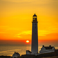 Buy canvas prints of Golden Sunrise at Scurdie Ness Lighthouse by DAVID FRANCIS