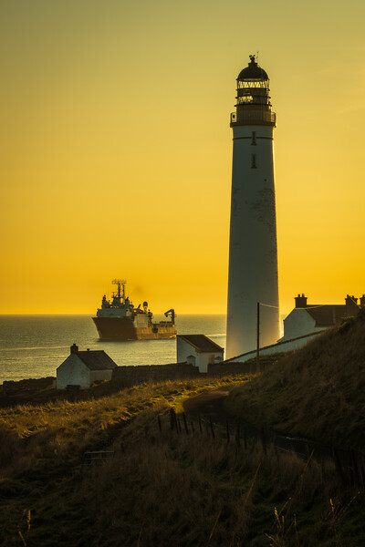 Golden Sunrise at Scurdie Ness Lighthouse Picture Board by DAVID FRANCIS