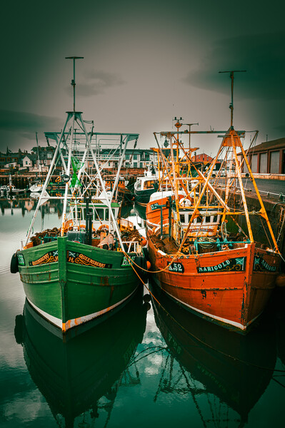 Fishing Boats in Arbroath Harbour Scotland. Picture Board by DAVID FRANCIS
