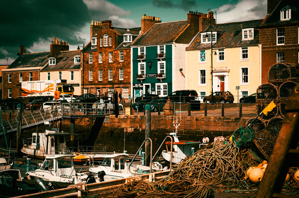 Colourful Houses at Arbroath Harbour Scotland Picture Board by DAVID FRANCIS