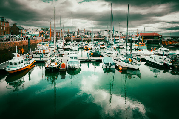 Yachts reflected in Arbroath Harbour Scotland Picture Board by DAVID FRANCIS