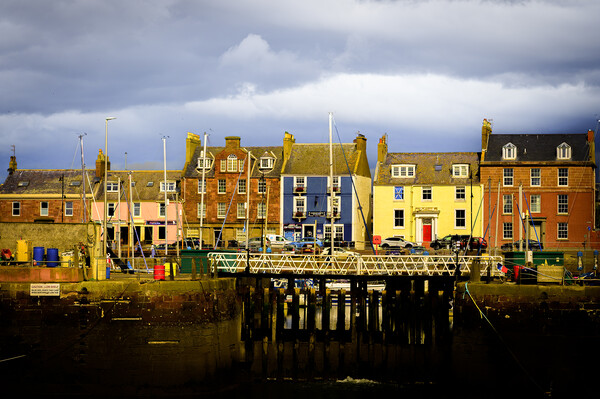Colourful Houses at Arbroath Harbour Scotland Picture Board by DAVID FRANCIS