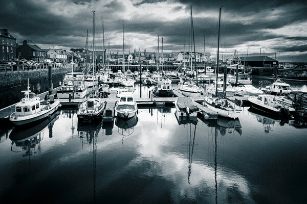 Yachts reflected in Arbroath Harbour Mono Picture Board by DAVID FRANCIS