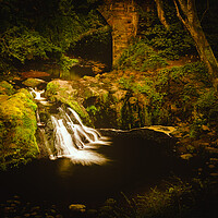 Buy canvas prints of Spectacular Arbirlot Waterfall in Scotland by DAVID FRANCIS