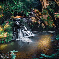 Buy canvas prints of Stunning Arbirlot Waterfall in Scotland by DAVID FRANCIS