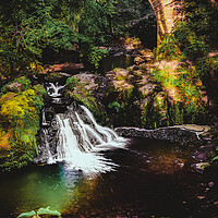 Buy canvas prints of Spectacular Arbirlot Waterfall Scotland by DAVID FRANCIS